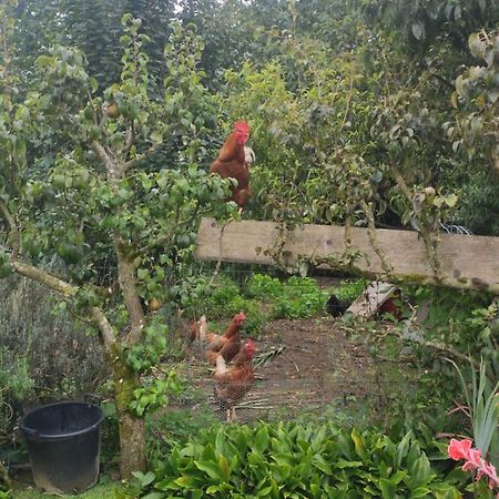 Balaze Bienvenue Chez Joelle Et Andre Au 207 Bed & Breakfast エクステリア 写真