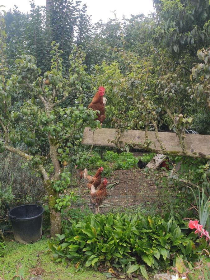 Balaze Bienvenue Chez Joelle Et Andre Au 207 Bed & Breakfast エクステリア 写真