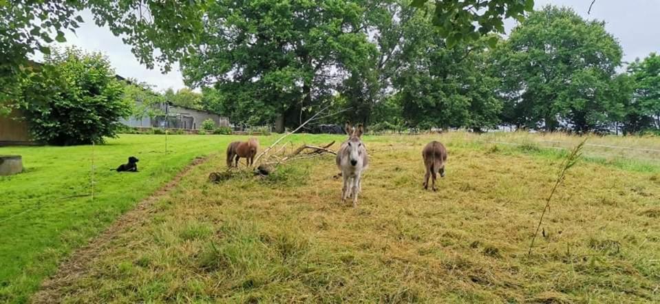 Balaze Bienvenue Chez Joelle Et Andre Au 207 Bed & Breakfast エクステリア 写真